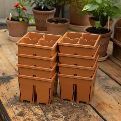 Sproutbox 4-Cell Seed Starter
