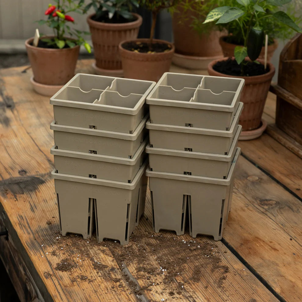 Sproutbox 4-Cell Seed Starter