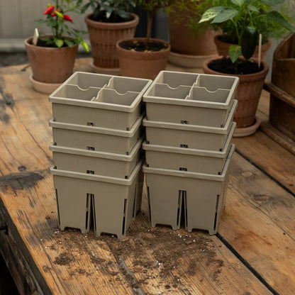 Sproutbox 4-Cell Seed Starter