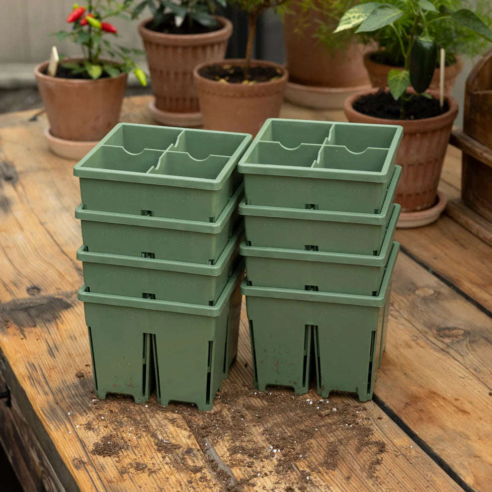 Sproutbox 4-Cell Seed Starter