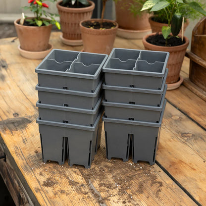 Sproutbox 4-Cell Seed Starter