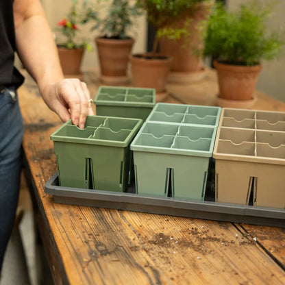 Sproutbox 4-Cell Seed Starter