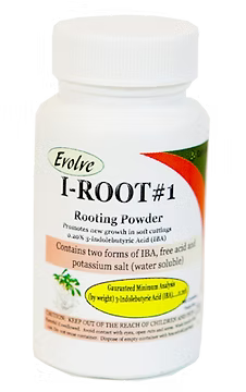 Evolve i-Root #1 Powder Soft 25gm