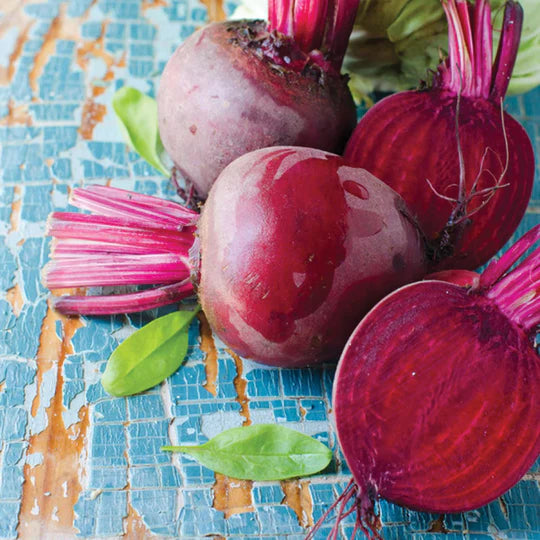 Beet Ruby Queen MIgardener Seed