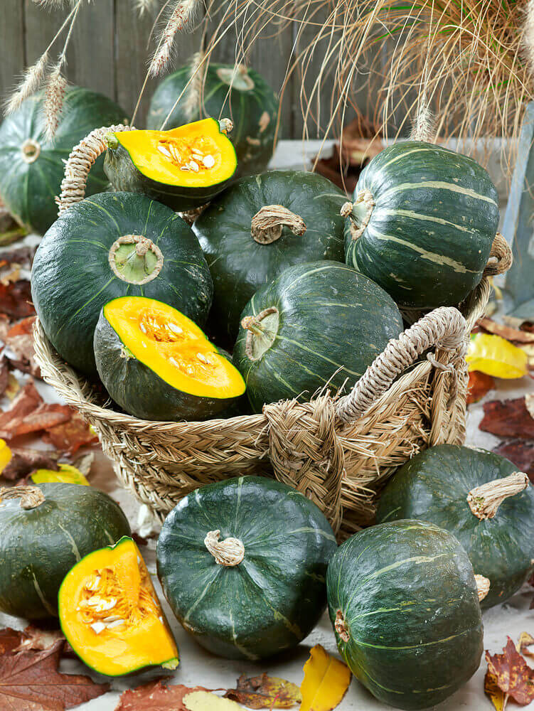 Squash Buttercup Organic OSC Seed