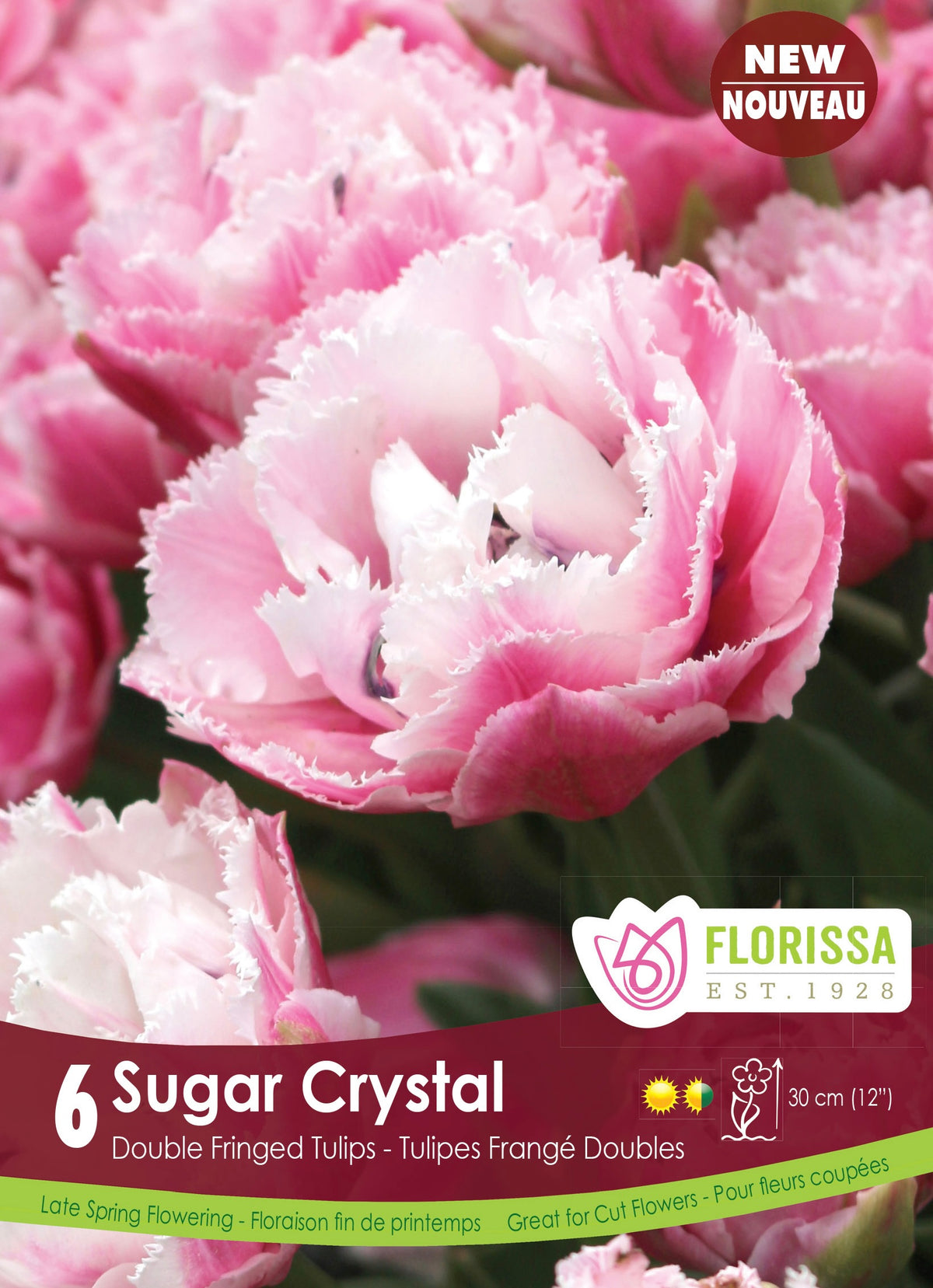 Tulip Sugar Crystal (6pk)
