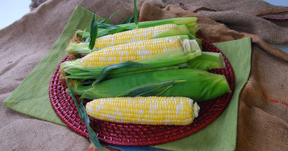 Corn Temptress F1 WCS Seed