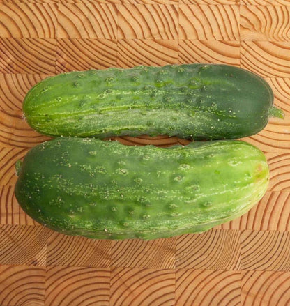 Cucumber Homemade Pickles WCS Seed