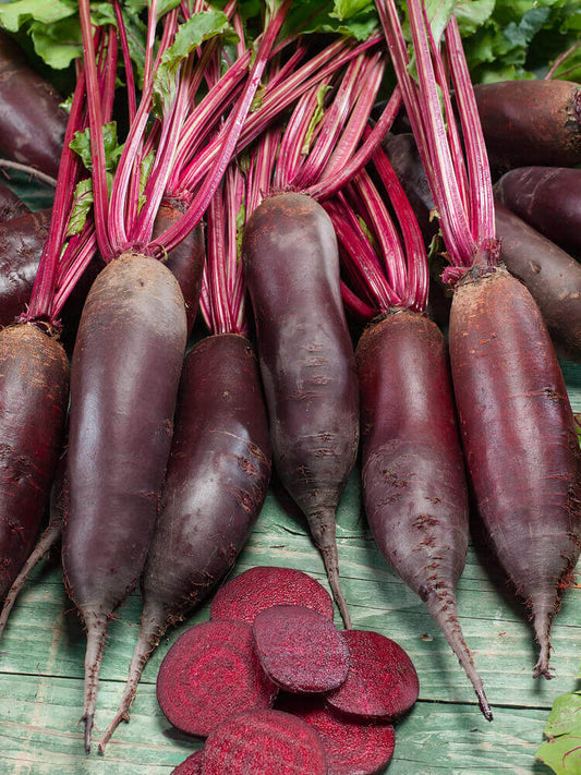 Beet Cylindra Organic OSC Seed