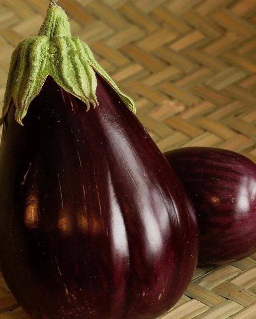 Eggplant Black Beauty Organic WCS Seed