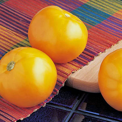 Tomatoes Carolina Gold WCS Seeds