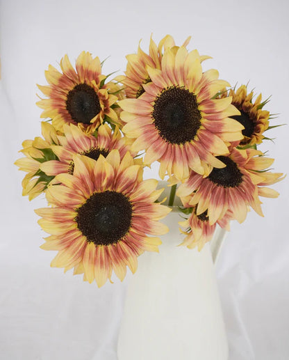 Sunflowers Cherry Rose WCS Seeds