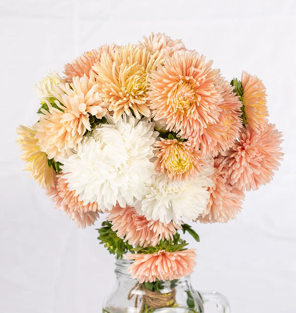 Aster The Roses Mix WCS Seeds