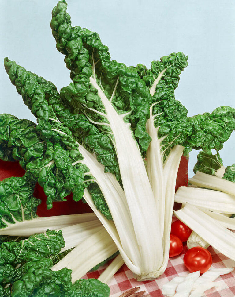 Swiss Chard Fantasia Orange OSC Seeds (Copy)