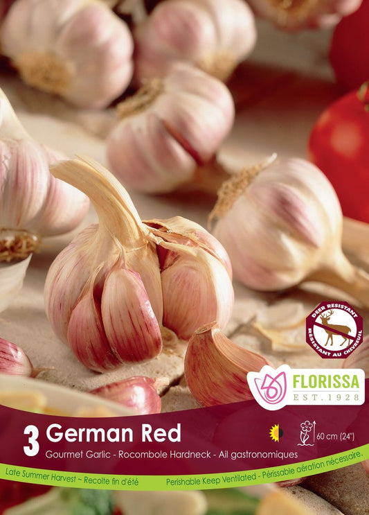 Garlic German Red Hardneck