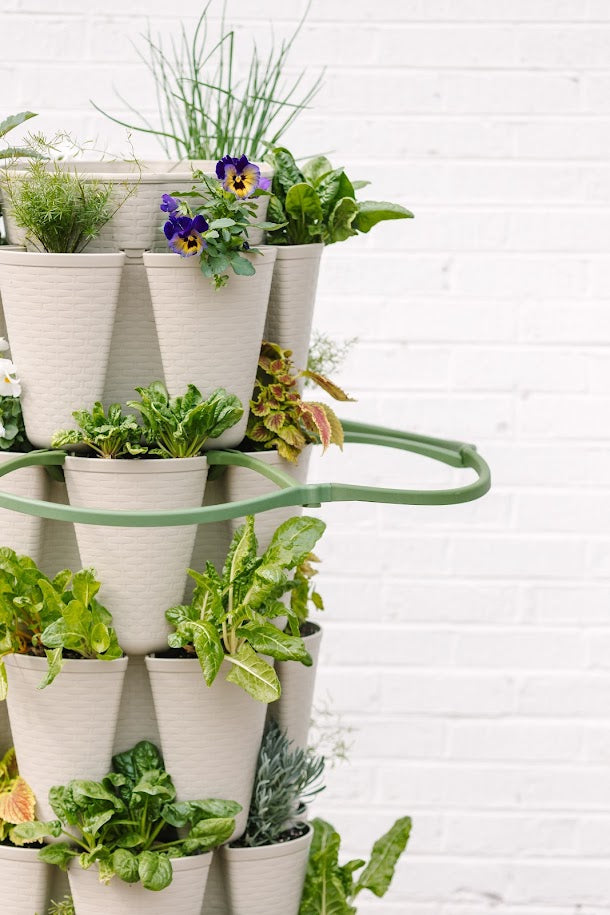 GreenStalk Plant Support (1 tier)