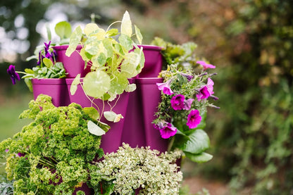 GreenStalk 3 Tier Original Razzleberry