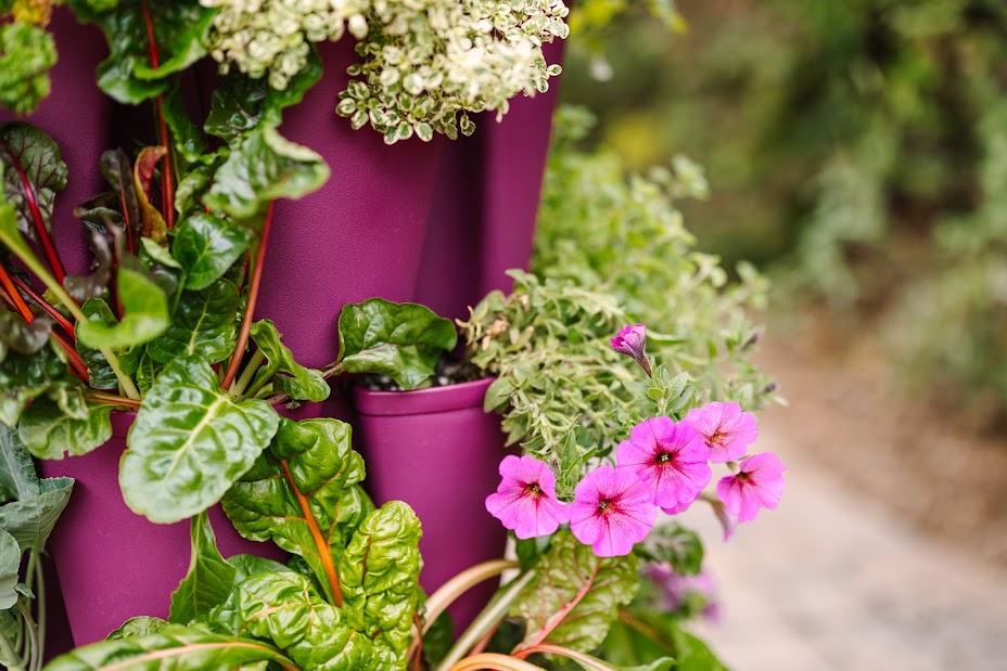 GreenStalk 3 Tier Original Razzleberry