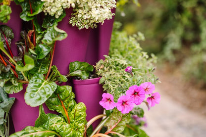 GreenStalk 3 Tier Original Razzleberry