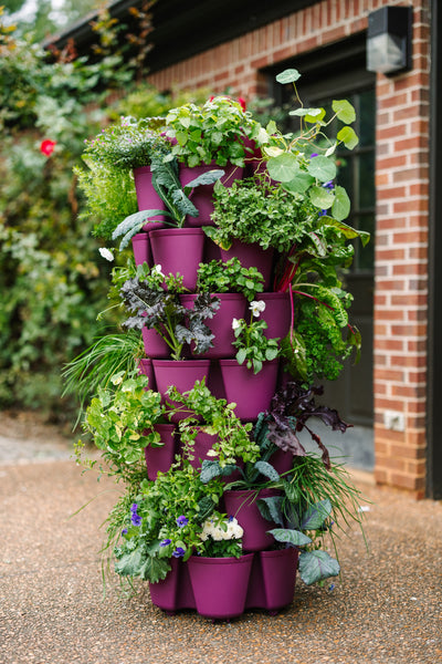 Greenstalk-43_grande.jpg?v=