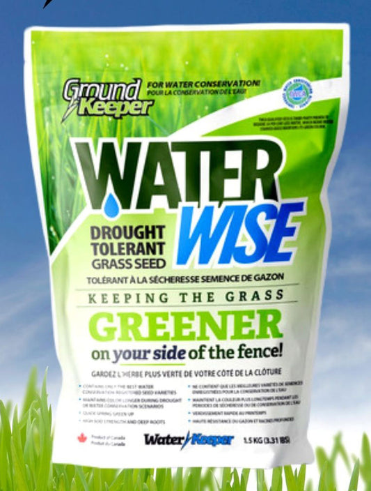 GroundKeeper Water Wise Drought Tolerant Grass Seed 1.5KG