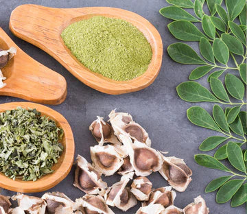 Moringa MIgardener Seed