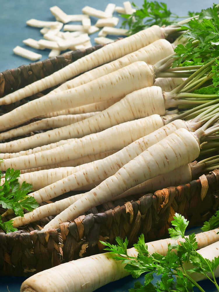 Root Parsley Hamburg OSC Seeds