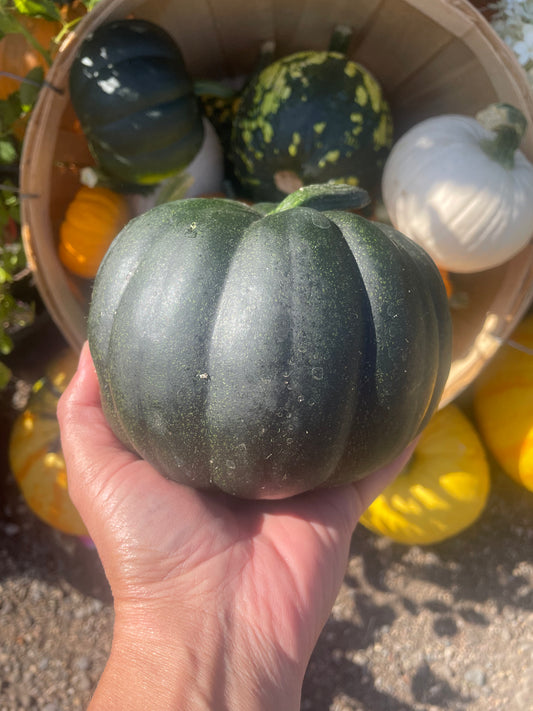 Pete's Midnight Pumpkin