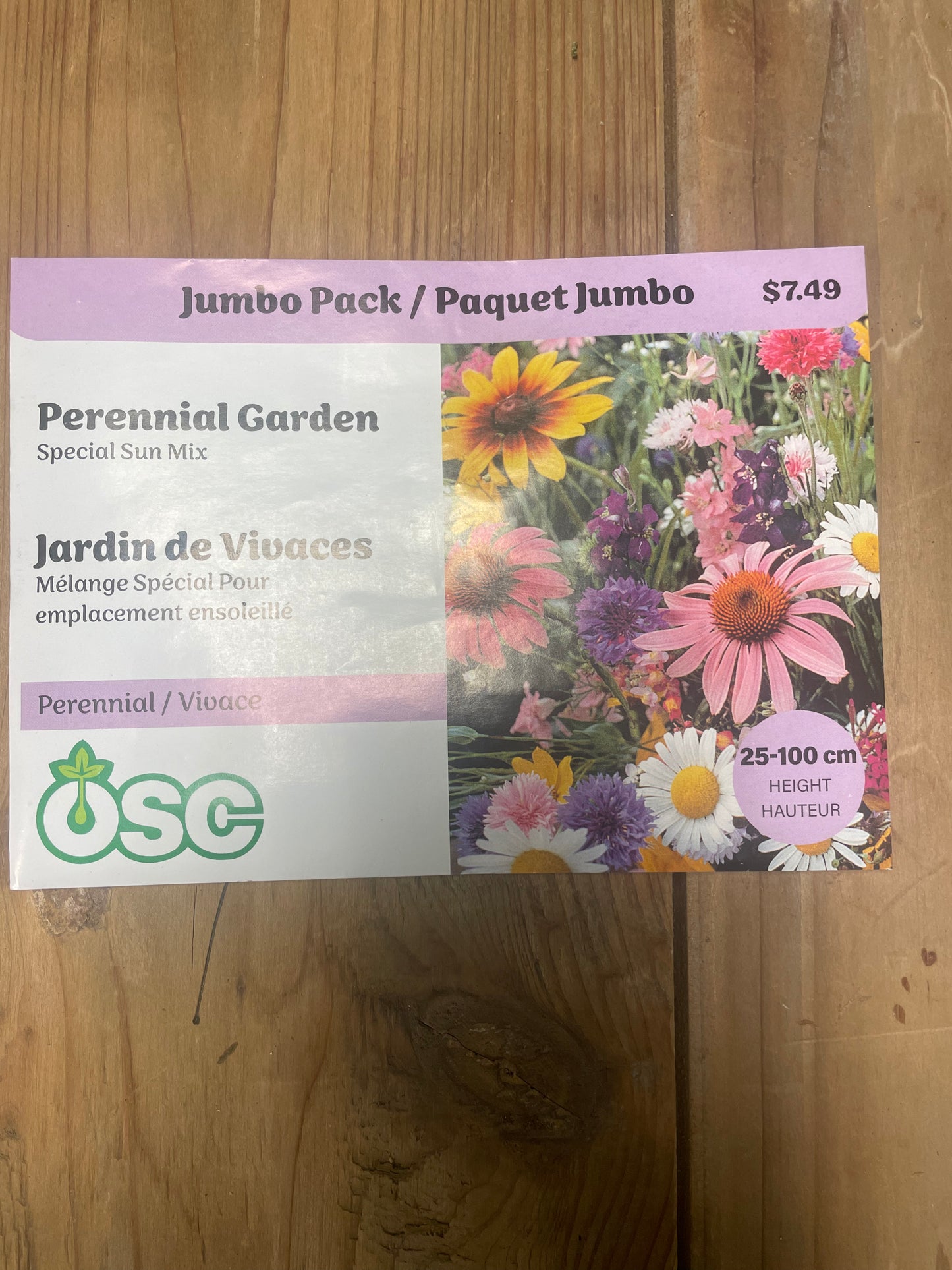 Perennial Sun Mix Jumbo OSC Seed