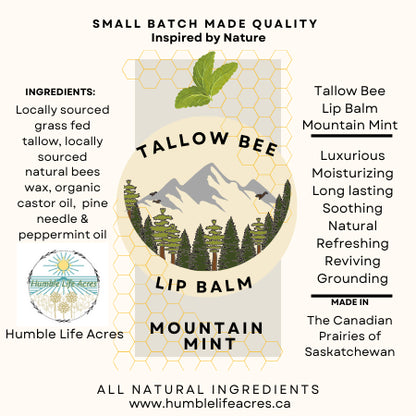 Tallow Bee Lip Balm Mint