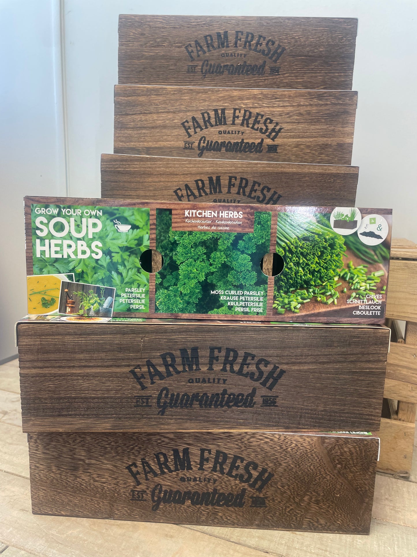 Soup Herbs Kit Trio