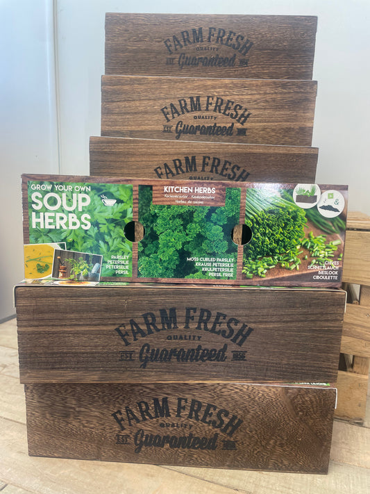 Soup Herbs Kit Trio