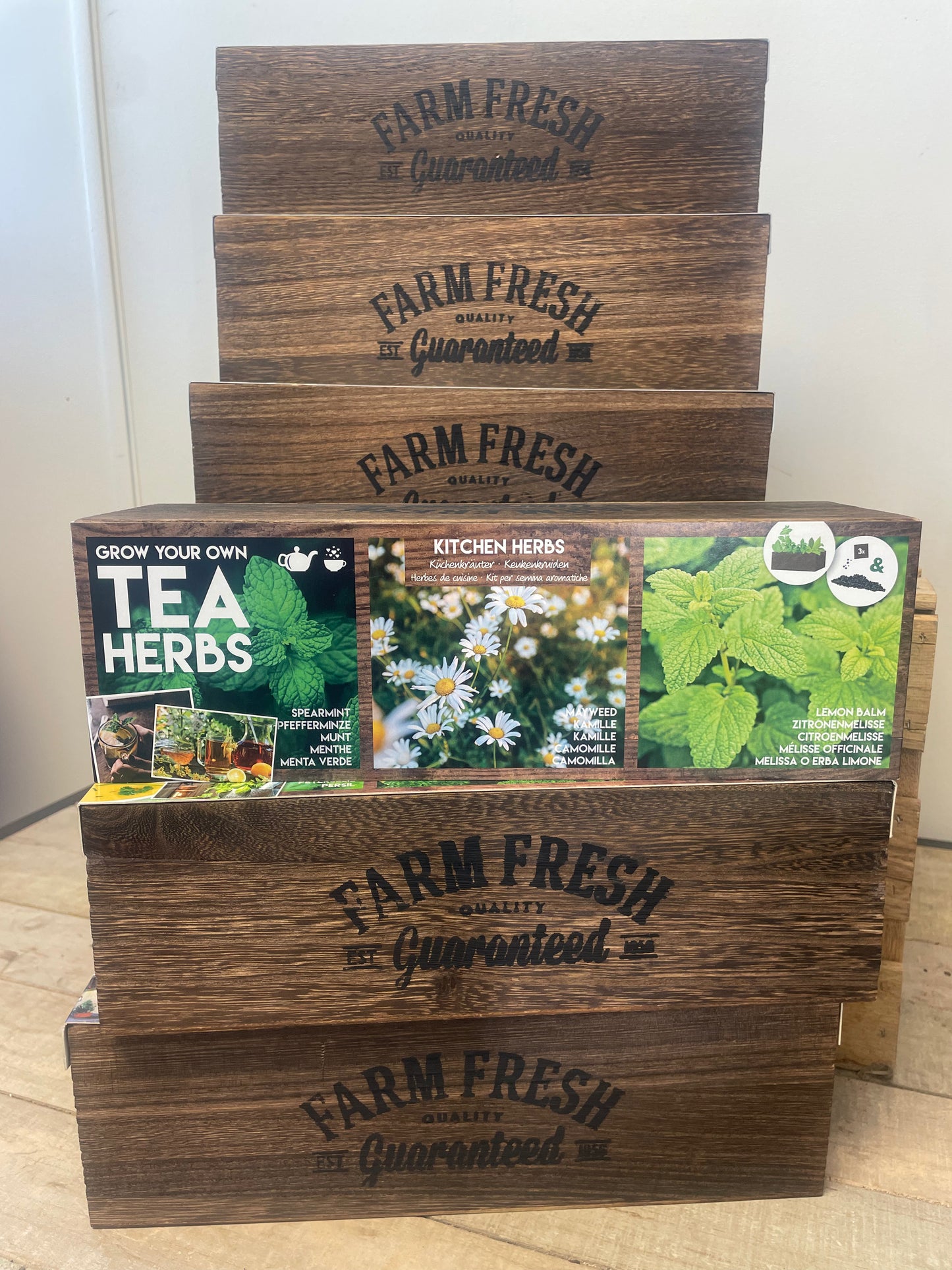 Tea Herbs Kit Trio