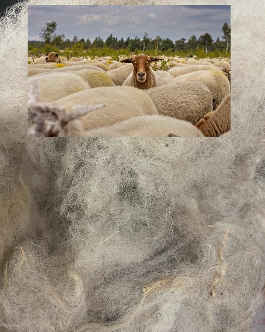 Raw Sheep Wool 10lb bag