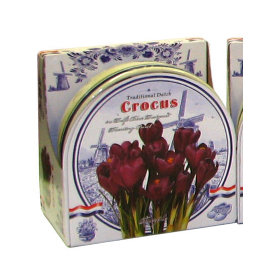 Crocus Bulb Ceramic Bowl Kit