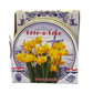 Narcissus Bulb Ceramic Bowl Kit