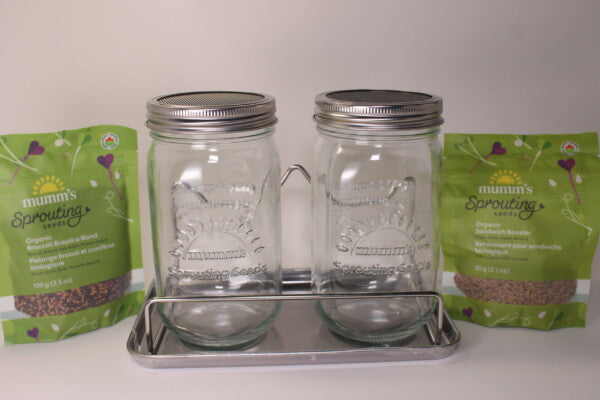 Sprouting Seed Kit Double Jar