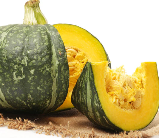 Squash Kabocha MIgardener Seed