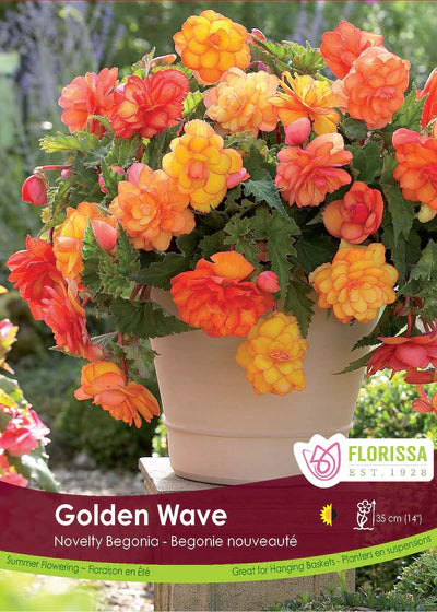 Bundle Your Begonias & Save