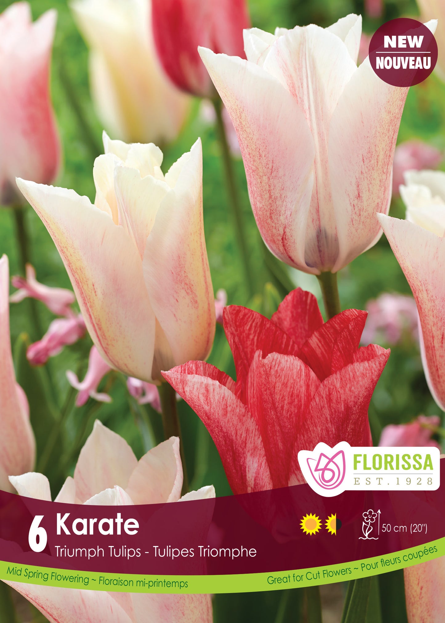 Tulip Karate