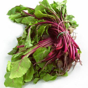 Beet Lutz Green Leaf OSC Seed