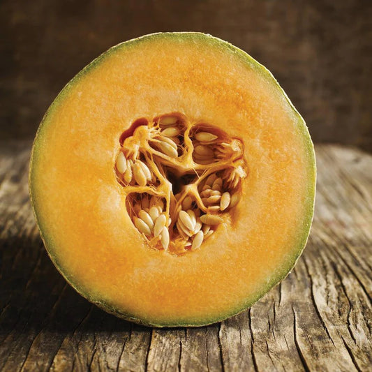 Melon Honey Rock MIgardener Seed