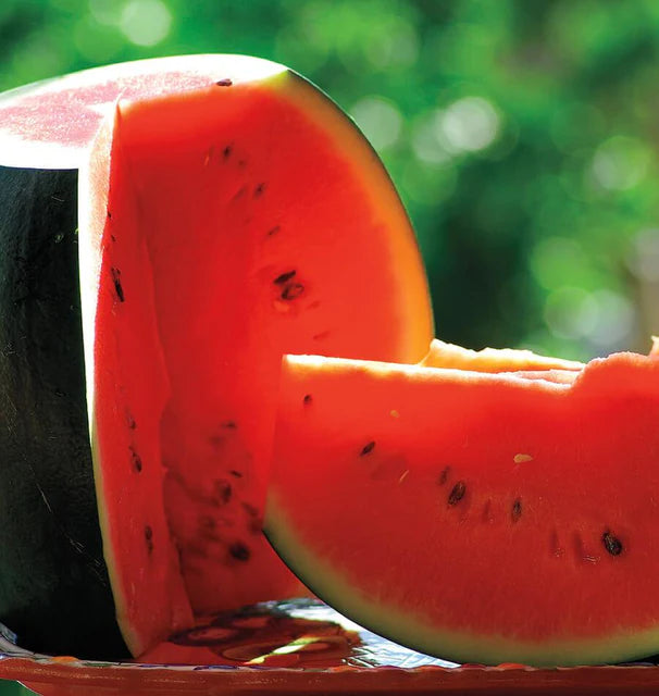 Watermelon Sugar Baby Organic WCS Seed