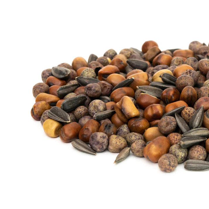 Microgreens Microgreen Salad