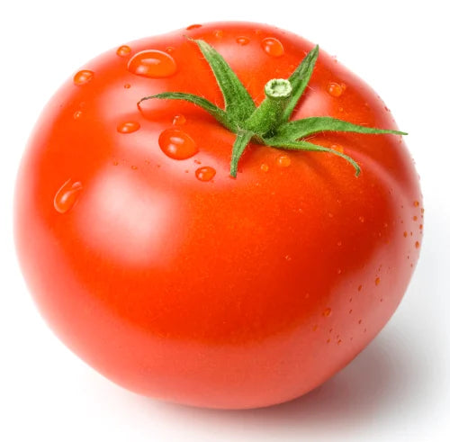 Tomato Manitoba OSC Seed