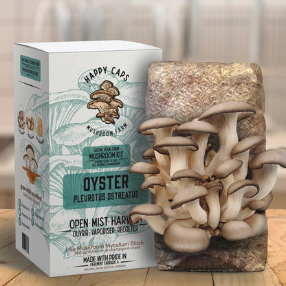 Mushroom Kit Oyster Happy Caps