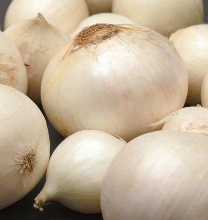 Onions White Wing F1 WCS Seed