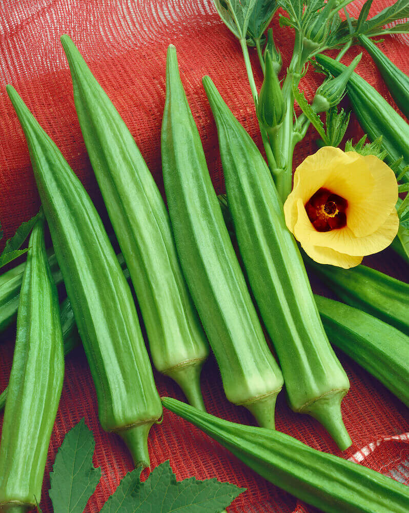 Okra Clemson Spineless Organic OSC Seed