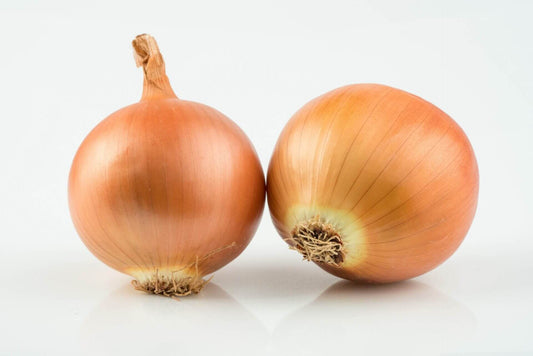 Onions Frontier OSC seeds