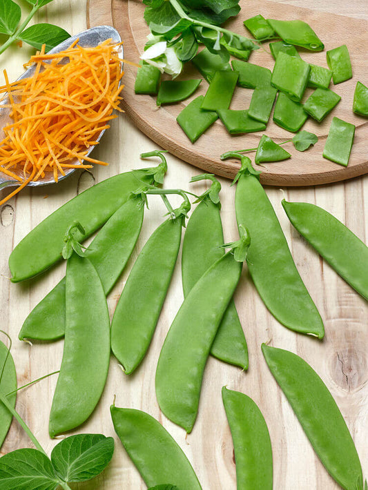 Peas Oregon Sugar Pod Organic OSC Seed